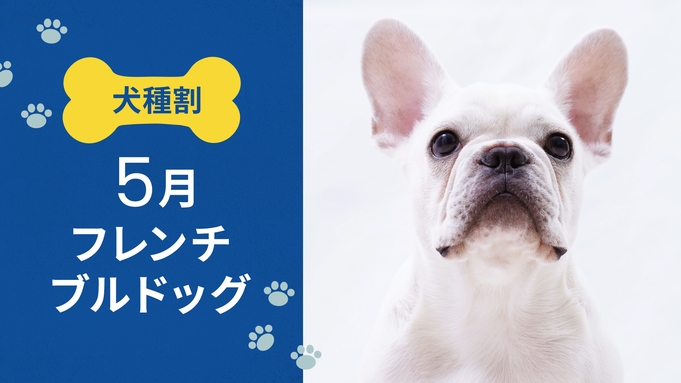  毎月開催！ お得な犬種限定割プラン 【5月はフレンチブルドッグ】 《 朝食付 》